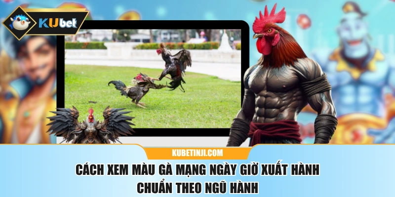 Cách Xem Màu Gà Mạng Ngày Giờ Xuất Hành Chuẩn Theo Ngũ Hành