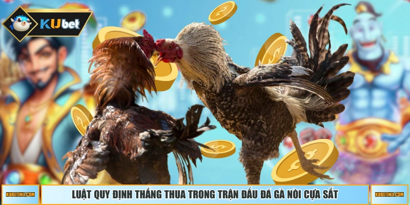 Luật quy định thắng thua trong trận đấu đá gà nòi cựa sắt