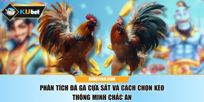 Phân Tích Đá Gà Cựa Sắt Và Cách Chọn Kèo Thông Minh Chắc Ăn