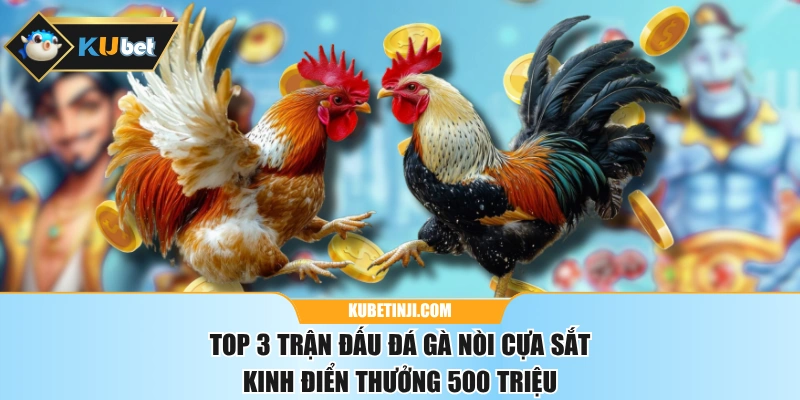 Top 3 Trận Đấu Đá Gà Nòi Cựa Sắt Kinh Điển Thưởng 500 Triệu