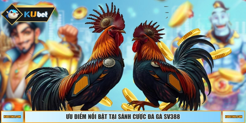 Ưu điểm nổi bật tại sảnh cược đá gà SV388 